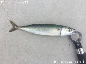 ¥µ¥Ð