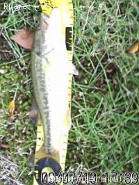 �֥�å��Х�