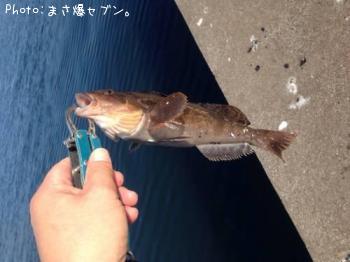 �����ʥ�