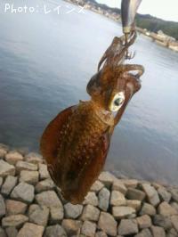 ¥¢¥ª¥ê¥¤¥«