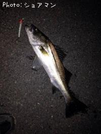 �����Х�