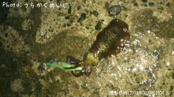 �����ꥤ��