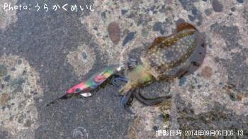 ¥¢¥ª¥ê¥¤¥«