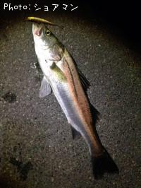 �����Х�