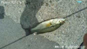 ¥Ö¥é¥Ã¥¯¥Ð¥¹