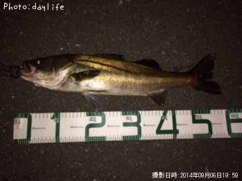 �����Х�