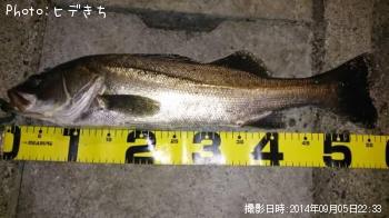 �����Х�