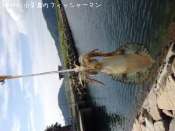 �����ꥤ��