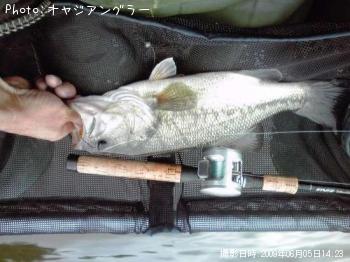 �֥�å��Х�