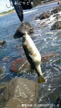 �����Х�