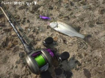 �����Х�