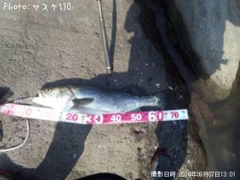 �����Х�