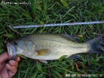 ¥Ö¥é¥Ã¥¯¥Ð¥¹