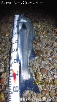 �����Х�