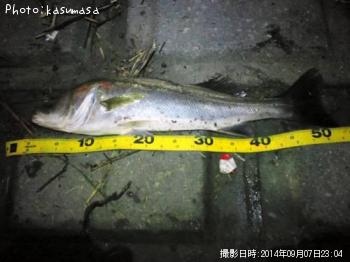 �����Х�