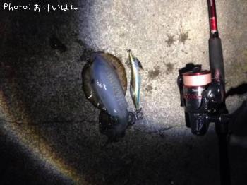 �����ꥤ��