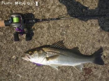 �����Х�