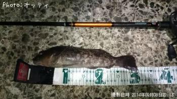 �����ʥ�