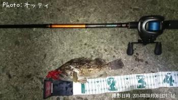 �����ʥ�