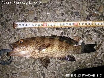 �������ϥ�