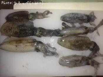 �����ꥤ��