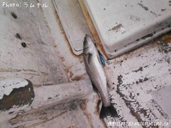 �����Х�