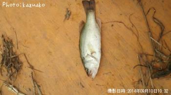 ¥Ö¥é¥Ã¥¯¥Ð¥¹