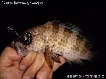 ¥ª¥ª¥â¥ó¥Ï¥¿