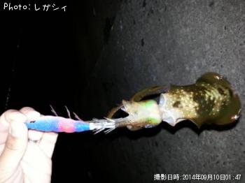 �����ꥤ��