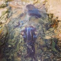 �����ꥤ��