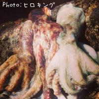 �����ꥤ��