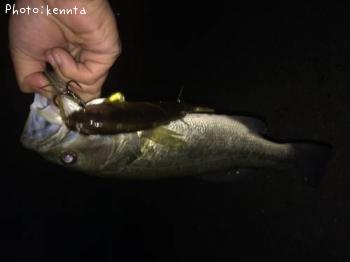 ¥Ö¥é¥Ã¥¯¥Ð¥¹