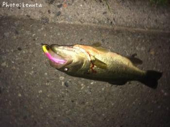 ¥Ö¥é¥Ã¥¯¥Ð¥¹