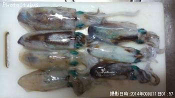 �����ꥤ��