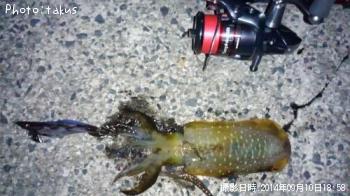 �����ꥤ��