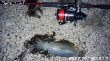 �����ꥤ��