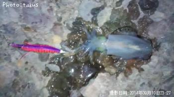 �����ꥤ��