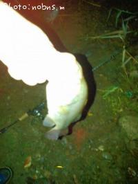 ¥Ö¥é¥Ã¥¯¥Ð¥¹