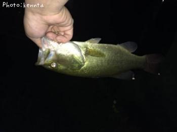 �֥�å��Х�