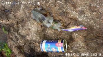 ¥¢¥ª¥ê¥¤¥«