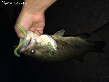 �֥�å��Х�