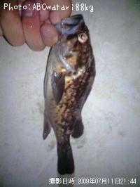 �����Υ���Х�