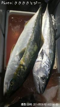 ¥Ï¥¬¥Ä¥ª¡õ¥¤¥Ê¥À