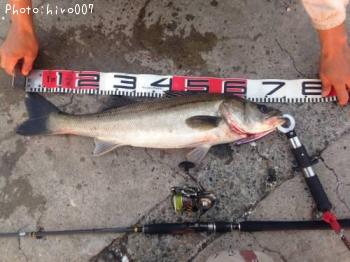 �����Х�