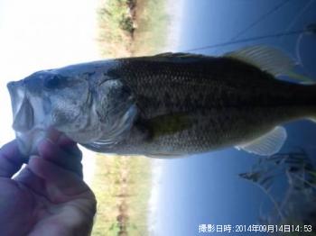 �֥�å��Х�