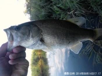 �֥�å��Х�