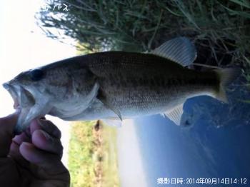 �֥�å��Х�