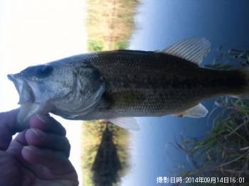 �֥�å��Х�