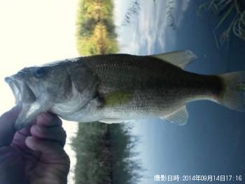 �֥�å��Х�