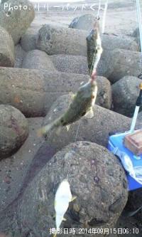 ������Ρ��ޡ��֥������ʣ⡰�ݡ���